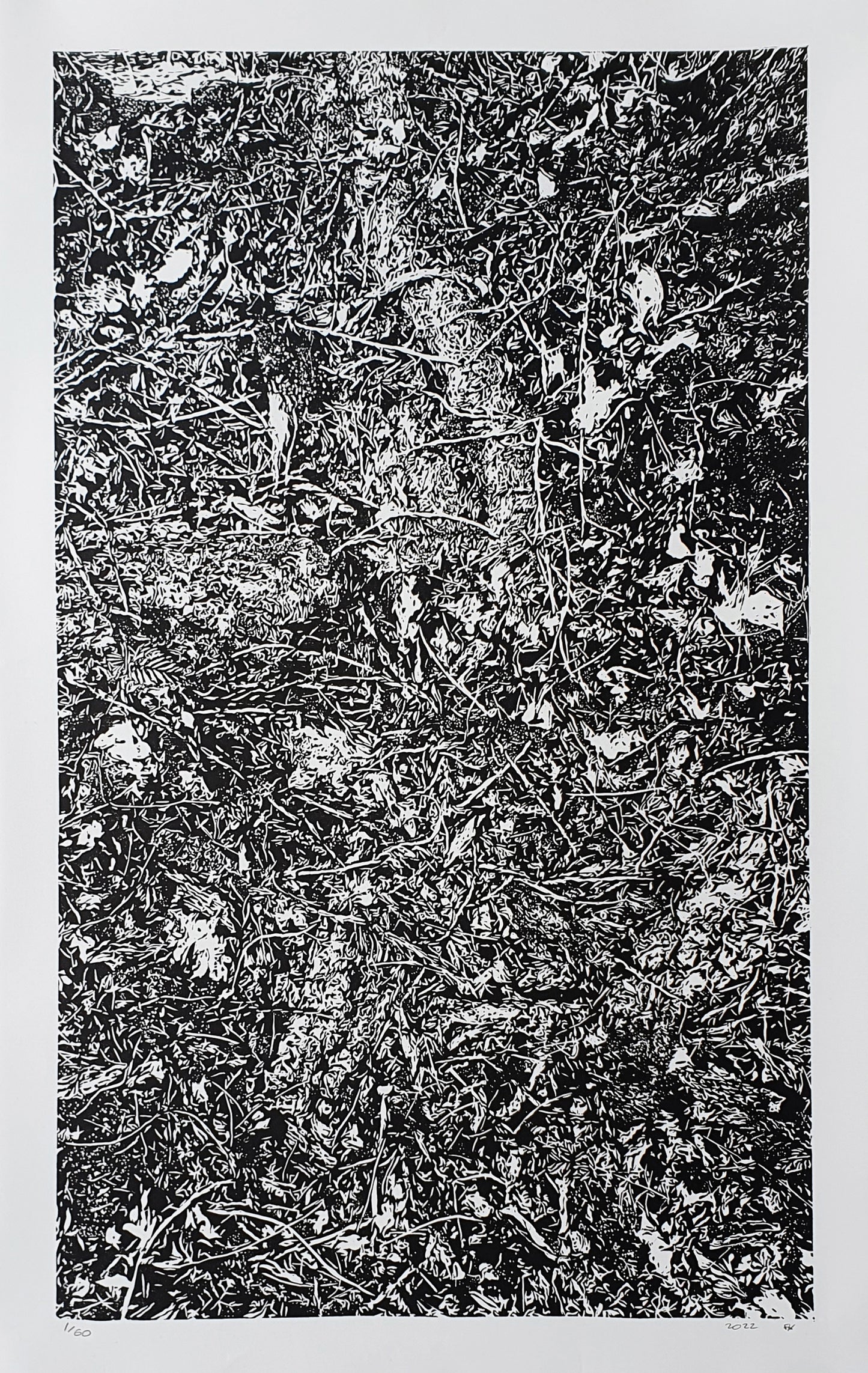 Detritus I