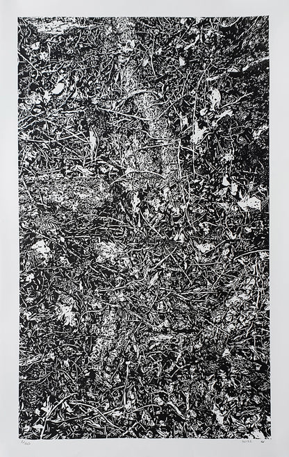 Detritus I